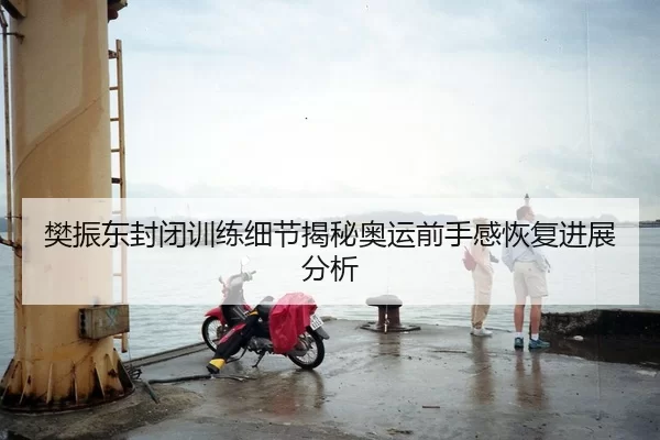 樊振东封闭训练细节揭秘奥运前手感恢复进展分析