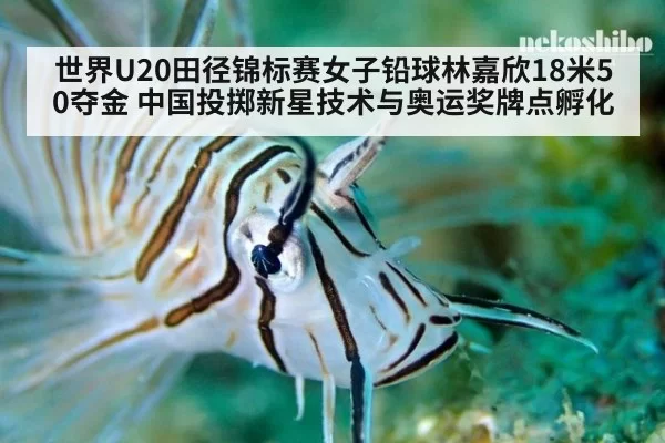 世界U20田径锦标赛女子铅球林嘉欣18米50夺金 中国投掷新星技术与奥运奖牌点孵化 - beats365