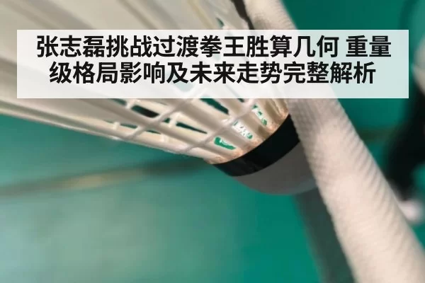 张志磊挑战过渡拳王胜算几何 重量级格局影响及未来走势完整解析